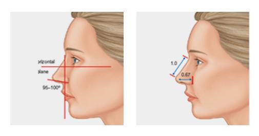 C-1 Soft Nasal Surgery-image 8