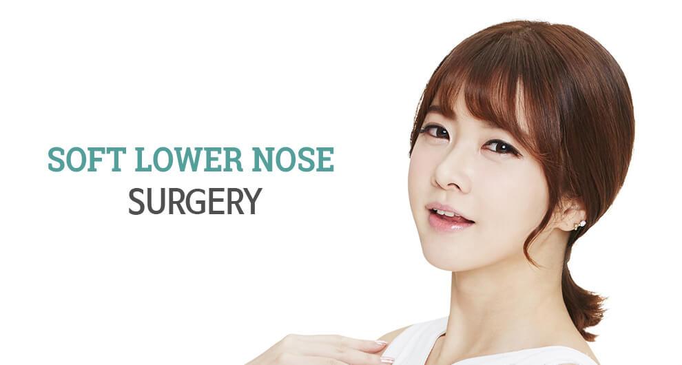 C-2 Soft Lower Nose Surgery Top Banner