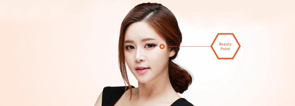 D-4 Ptosis Correction dual incision banner