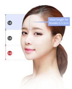 Forehead Reduction Surgery, Hairline Lowering Brow Lift Cost In Korea ...