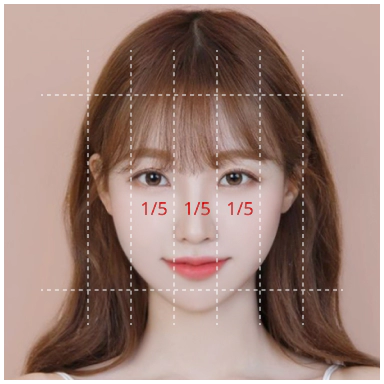 Ratio for the nose width in alarplasty.