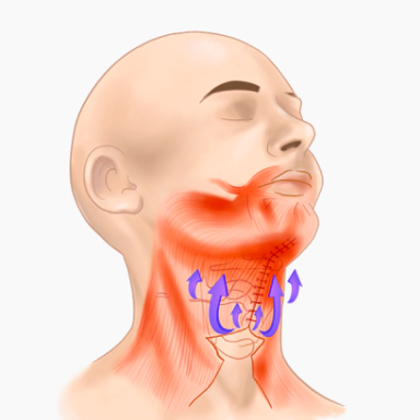 The direction the Korean double chin will move after muscle is tightened.