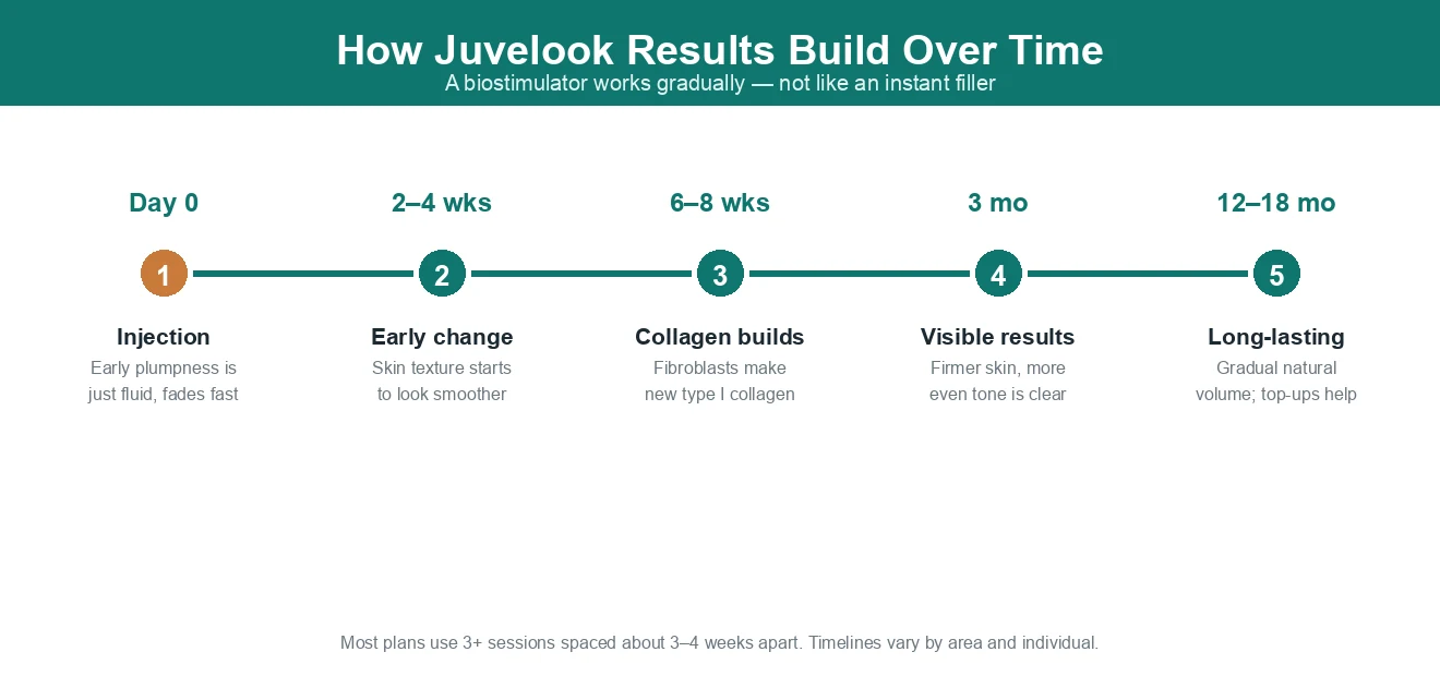Timeline showing how Juvelook collagen stimulation results build from injection day through 2-4 weeks, 6-8 weeks, 3 months and 12-18 months as new collagen forms.