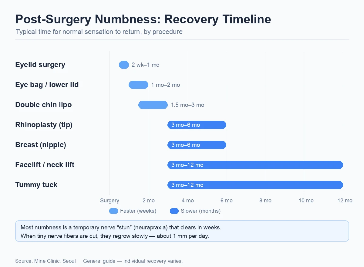 Recovery timeline infographic showing how long numbness lasts after plastic surgery by procedure, from eyelid surgery in weeks to facelift and tummy tuck up to 12 months.