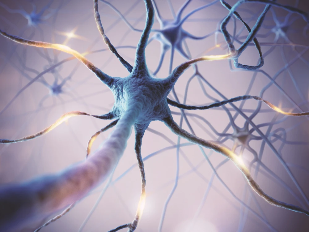Illustration of nerve cells and neural pathways representing post surgery numbness and temporary sensory changes during recovery.