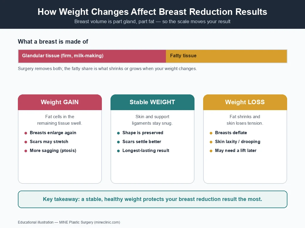 Infographic comparing how weight gain, stable weight, and weight loss each affect breast reduction surgery results, showing breast tissue as glandular plus fatty tissue