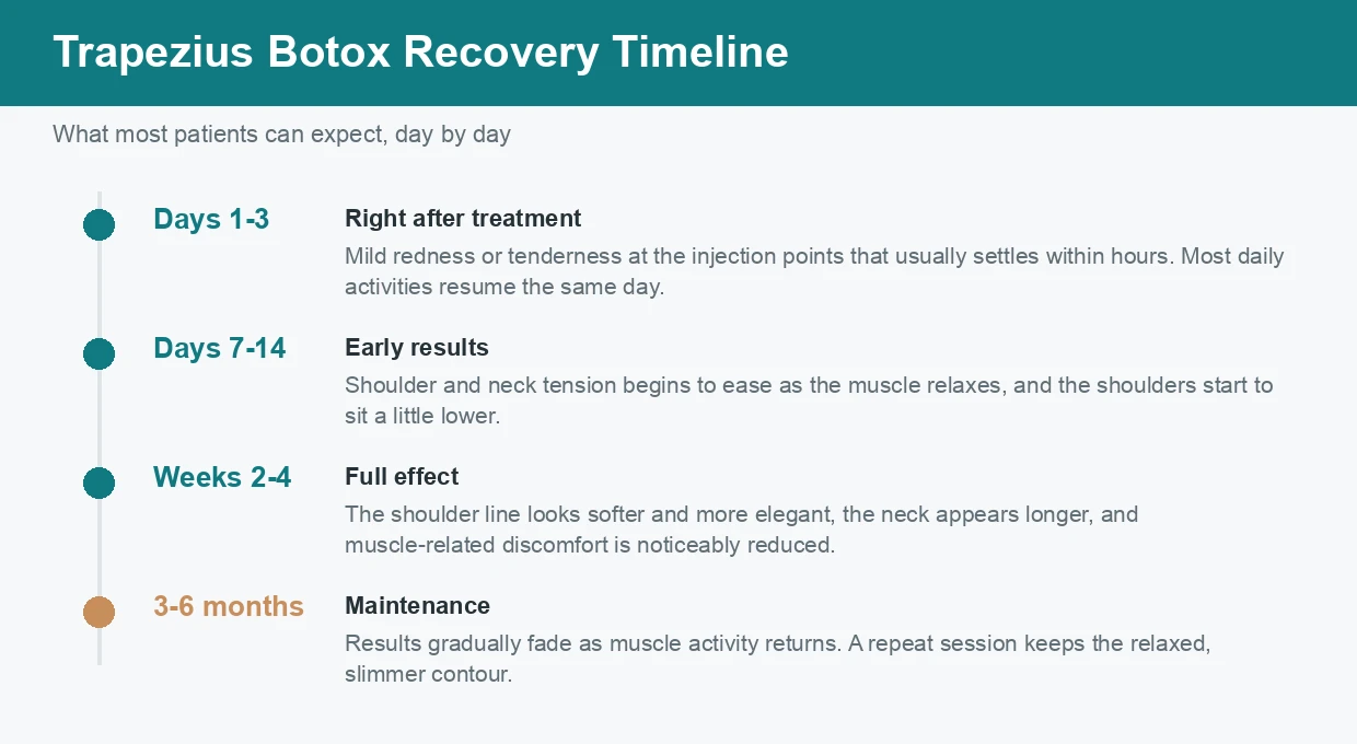 Trapezius Botox recovery timeline infographic showing days 1 to 3 mild tenderness, days 7 to 14 early muscle relaxation, weeks 2 to 4 full slimming effect, and 3 to 6 months before maintenance.