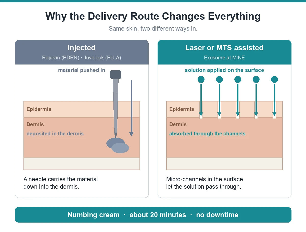 Delivery routes compared: laser or MTS micro-channels versus needle injection for exosome treatment in Korea