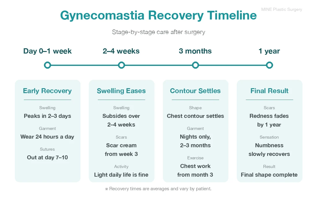 Gynecomastia surgery recovery timeline from day 1 to 1 year after surgery
