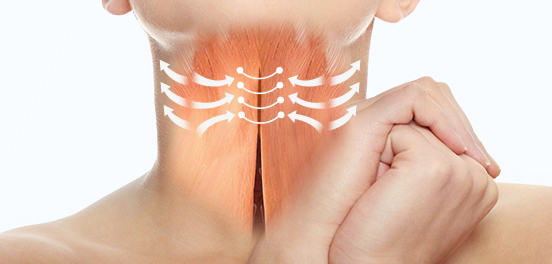 Korean jawline lifting diagram: the two halves of the platysma muscle drawn together and sutured at the midline of the neck.