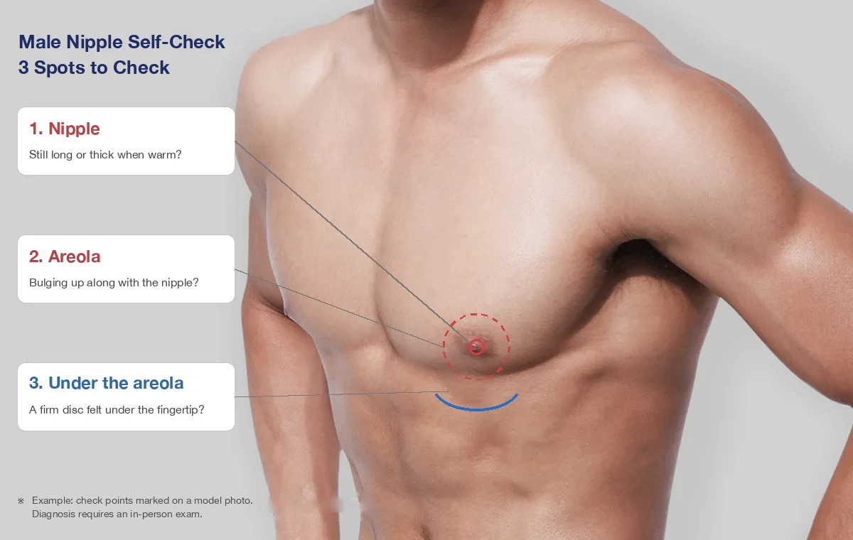 Model photo (not a patient) marking the 3 male nipple self-check spots: the nipple, the areola, and just under the areola