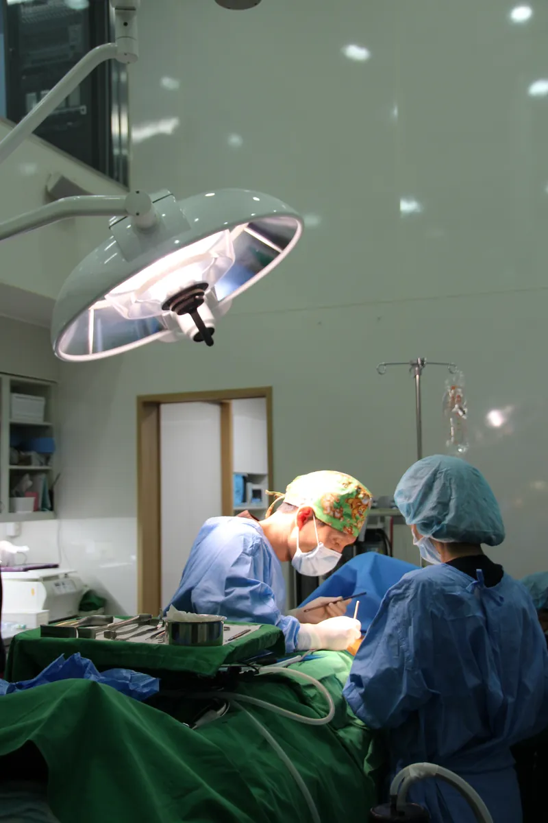 Surgeon and scrub nurse in sterile gowns and masks working in an operating room under a surgical light, with the patient fully draped.