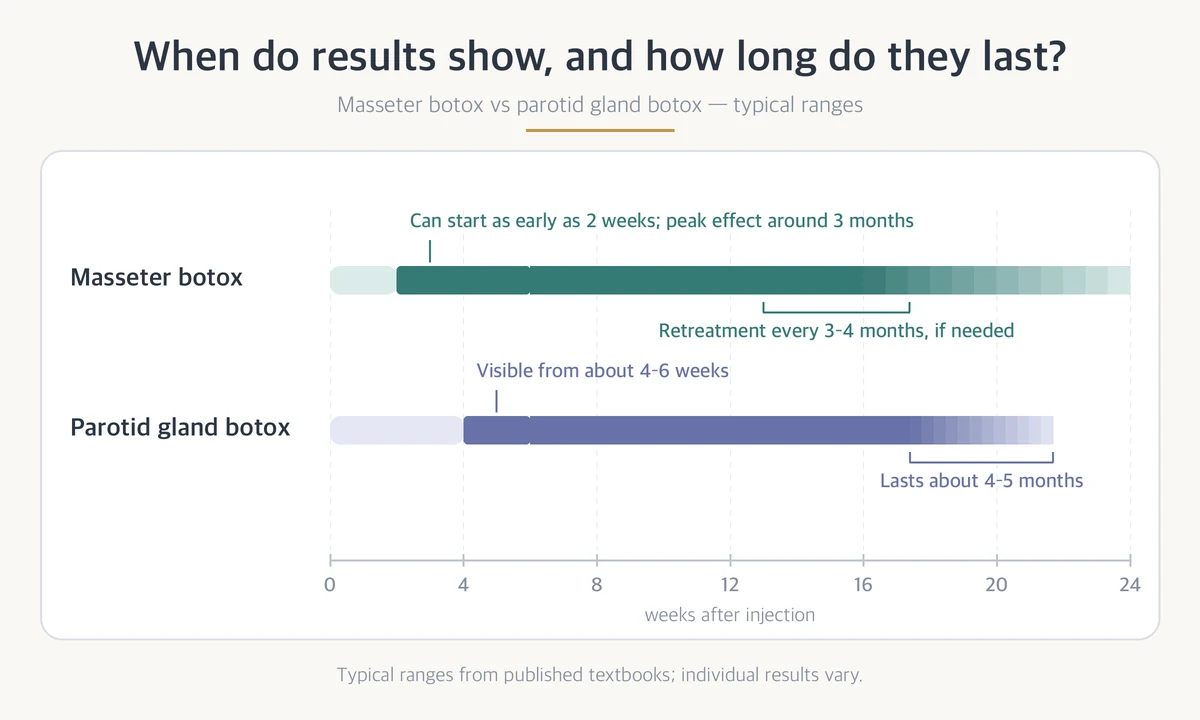Timeline comparing when masseter botox and parotid gland botox results appear and how long they usually last